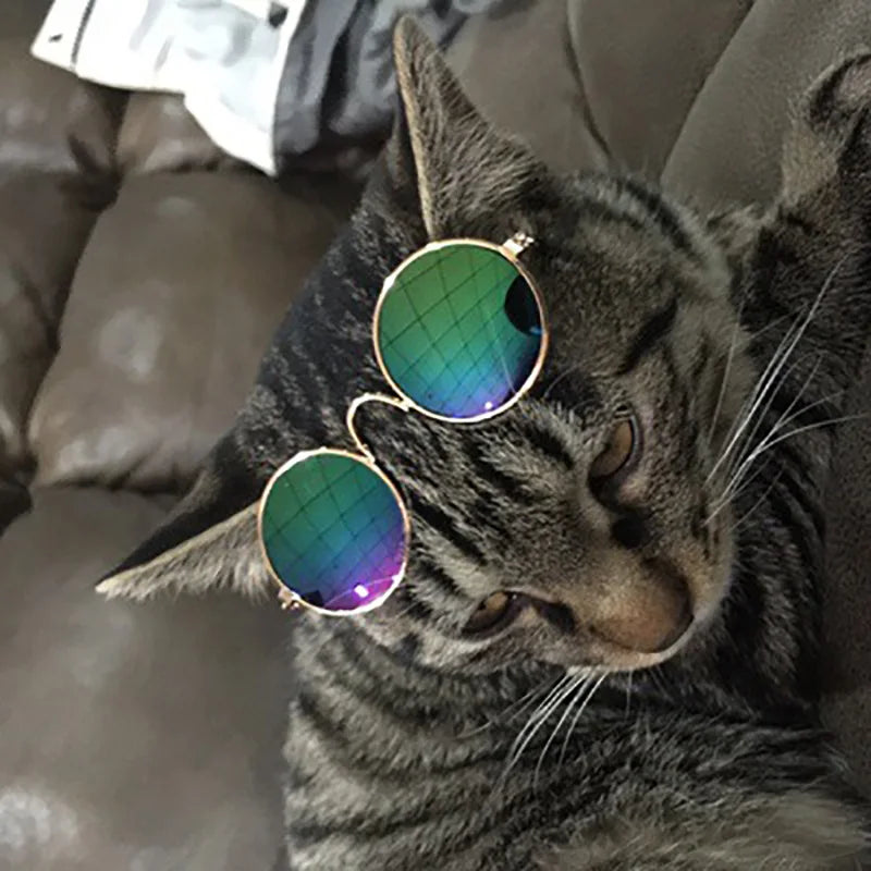 Cat Sunglasses Lovely Vintage Round Reflection Eye wear glasses For Small Dog Cat Pet Photos Pet Products Props Accessories