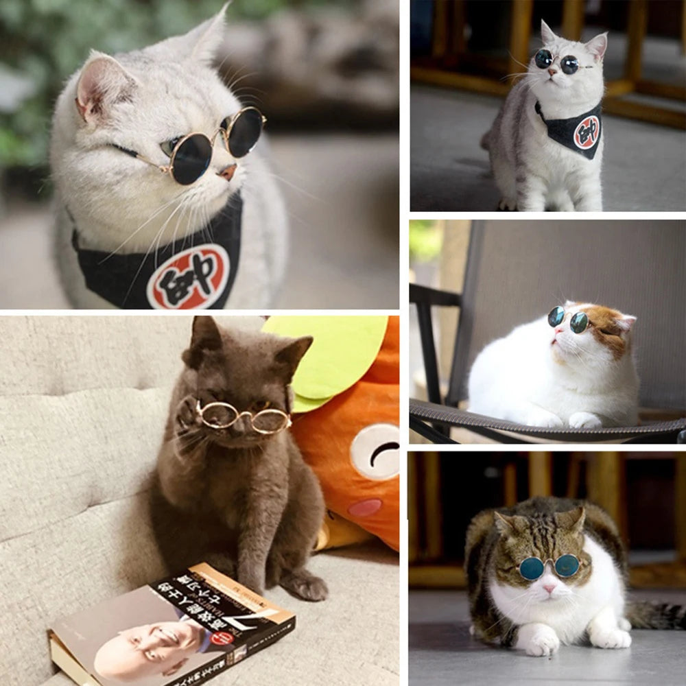 Lovely Vintage Round Cat Sunglasses Reflection Eye wear glasses For Small Dog Cat Pet Photos Pet Products Props Accessories