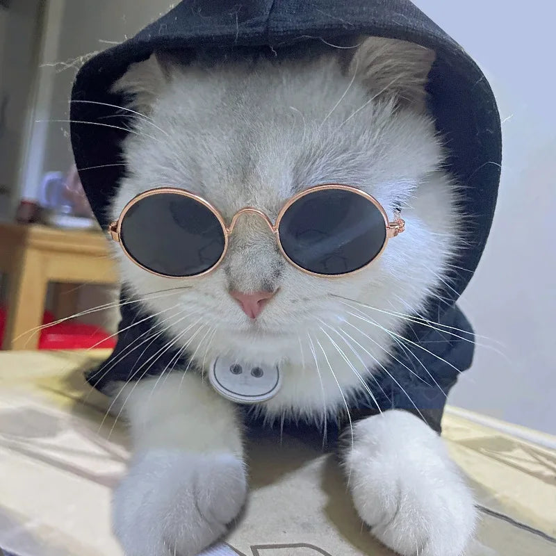 Lovely Vintage Round Cat Sunglasses Reflection Eye wear glasses For Small Dog Cat Pet Photos Pet Products Props Accessories