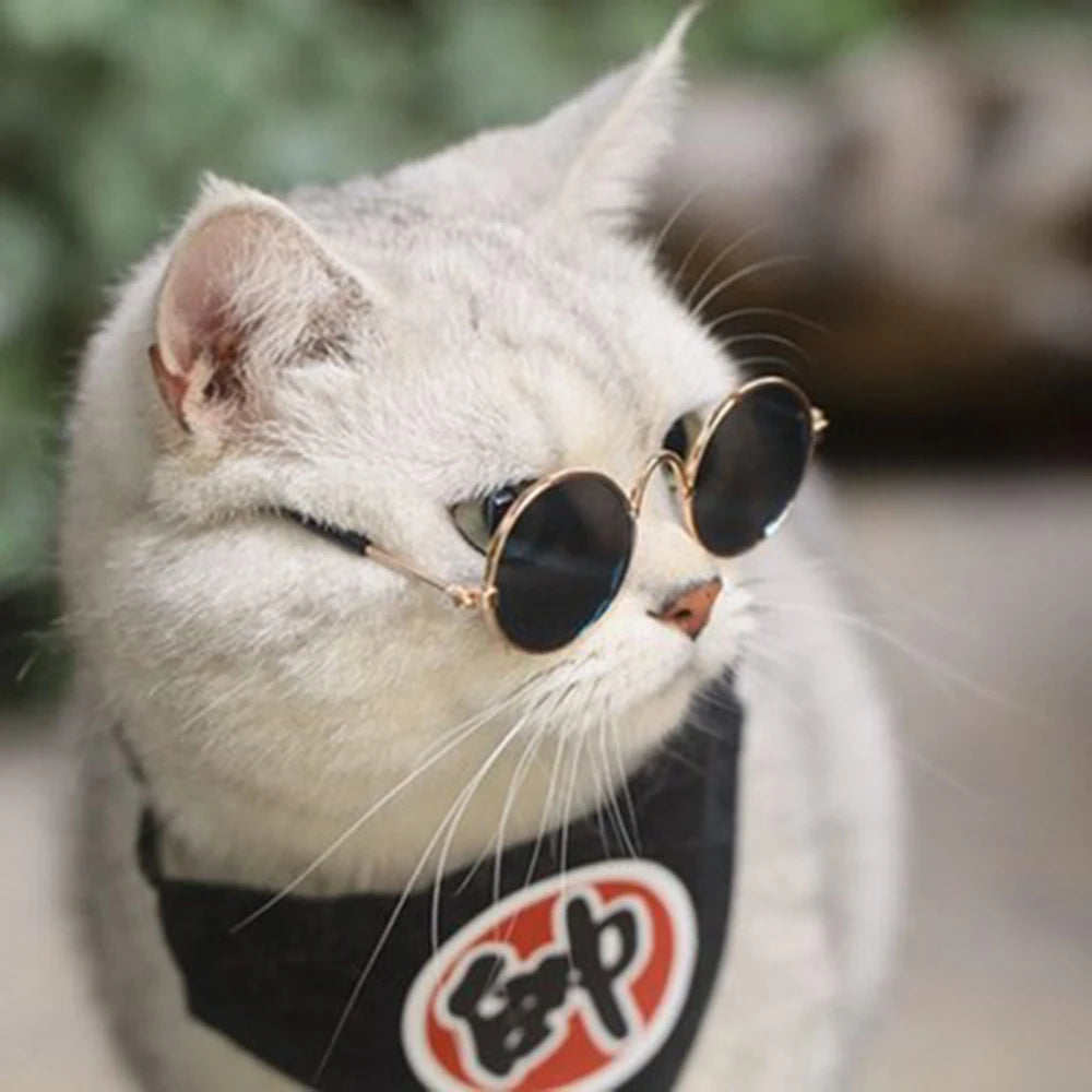 Lovely Vintage Round Cat Sunglasses Reflection Eye wear glasses For Small Dog Cat Pet Photos Pet Products Props Accessories